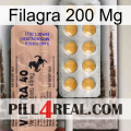 Filagra 200Mg 41